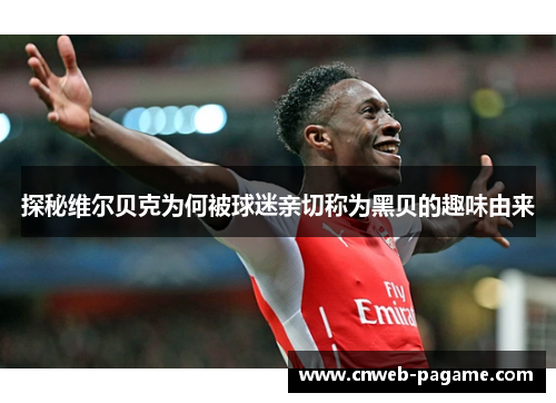 探秘维尔贝克为何被球迷亲切称为黑贝的趣味由来