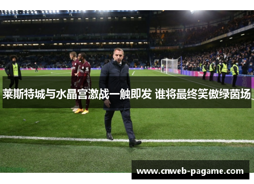 莱斯特城与水晶宫激战一触即发 谁将最终笑傲绿茵场 莱斯特城与水晶宫激战一触即发 谁将最终笑傲绿茵场